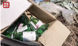 养海参整箱放敌敌畏！业内人士揭秘行业潜规则