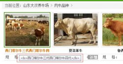 dedecms调用[field:title/]标签时,标题出现b标签怎么去