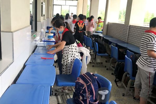 蒋王小学开展校园爱国卫生大扫除行动