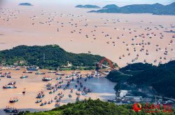 宁波破解“老小区通病”为全国探路