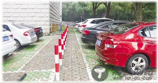湖州市税务局青铜路办公区内开放的共享车位.jpg