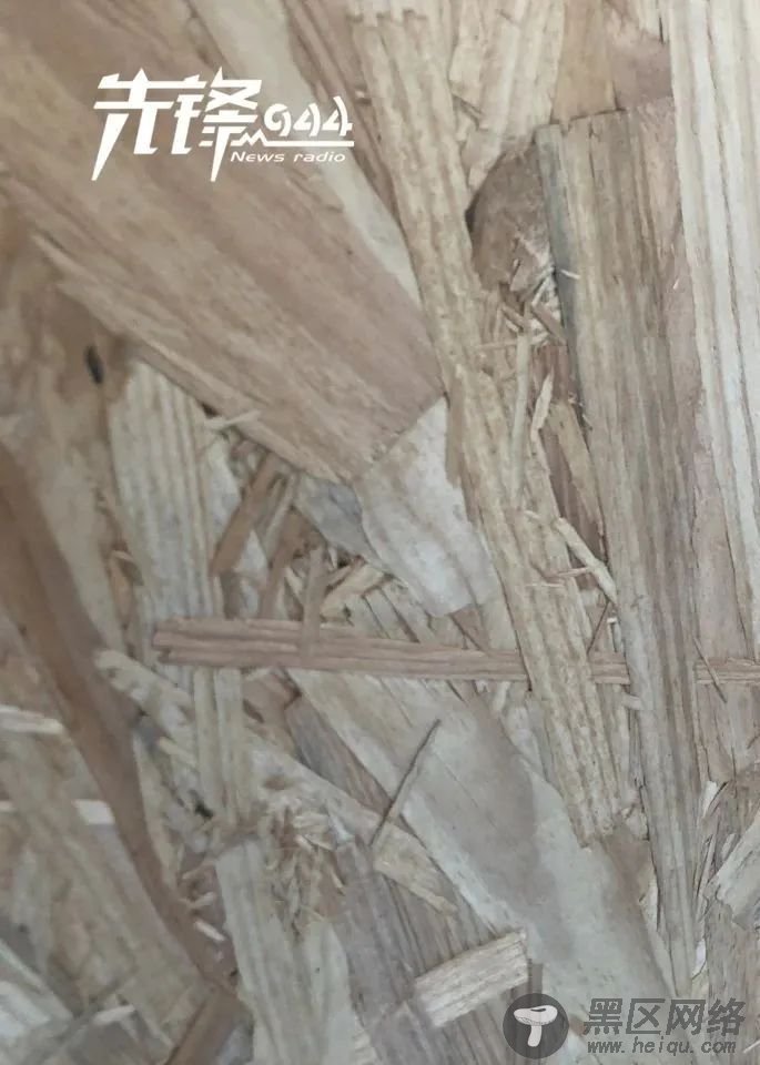 揭秘！鼓楼这座小屋凭何跻身福州首批“最佳”？