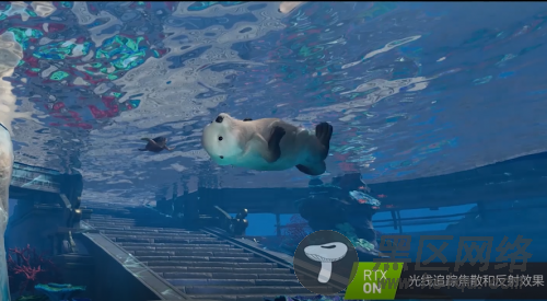 通过开启RTX ON，实现水体的焦散和反射效果