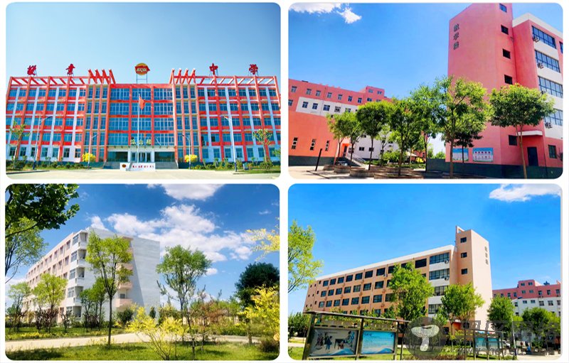 学校概况