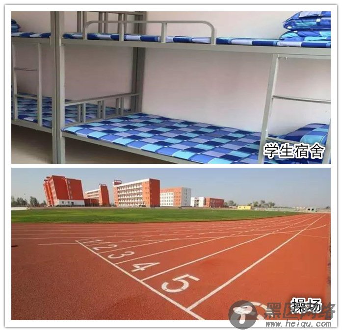 学校概况