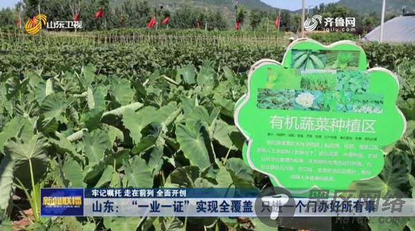 破解企业准入不准营 山东实现“一业一证”全覆