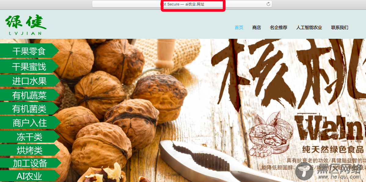 “AI农业.网址”中文域名启用 锁定热门关键词