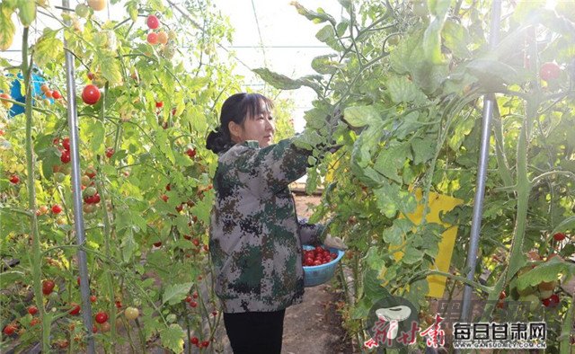 临泽：“硬核”举措破解脱贫攻坚难题