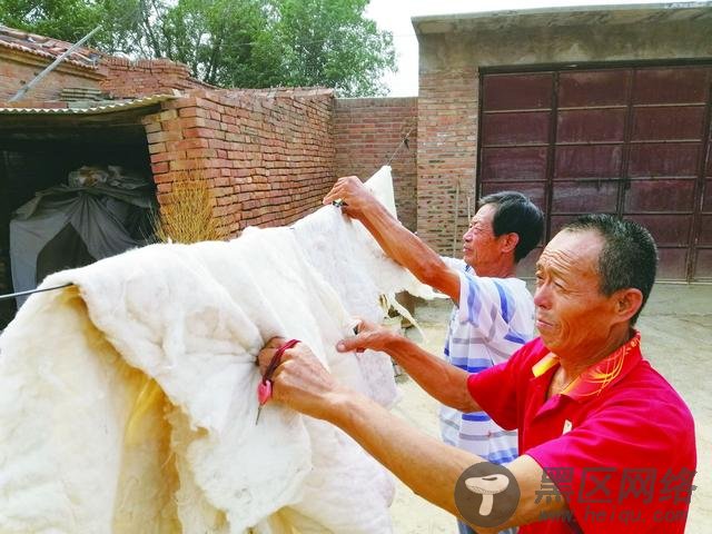 乐陵｜扶贫专岗：同步破解脱贫与解困两大难题