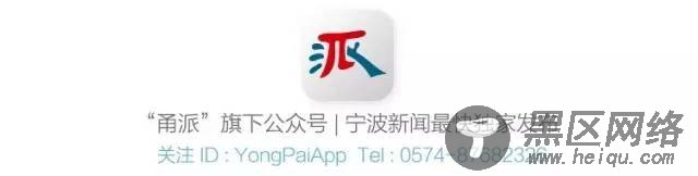 宁波城市大脑logo来了，甬派为你解密