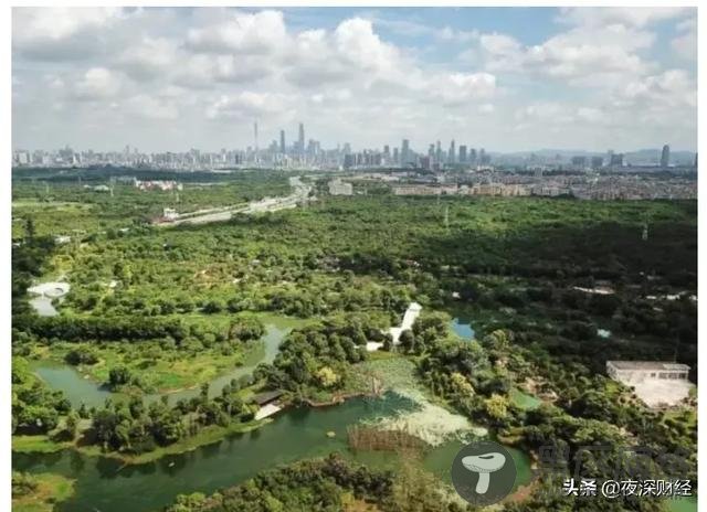 除了直辖扩容，这才是破解深圳高房价的终极大