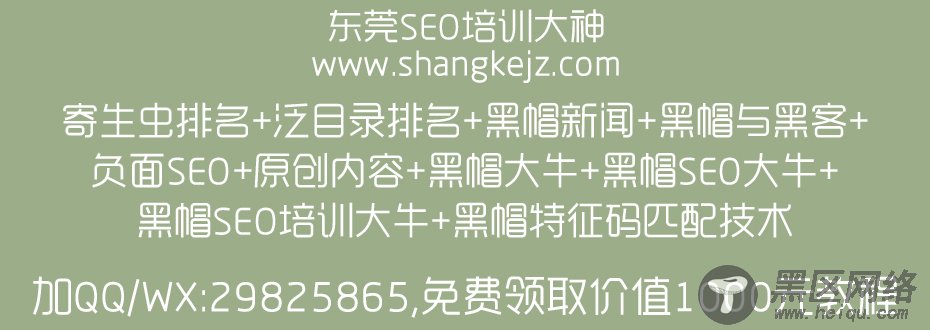 河北seo培训难学吗-衡水seo培训入门-黑客教学