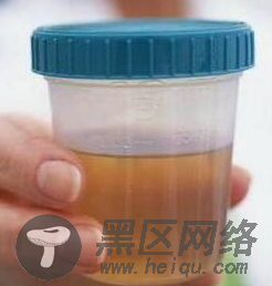  一瓶86年的拉菲的标准价位是多少？ 