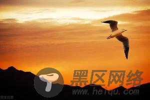 病态的爱国主义：韩国人为什么总觉得全世界都