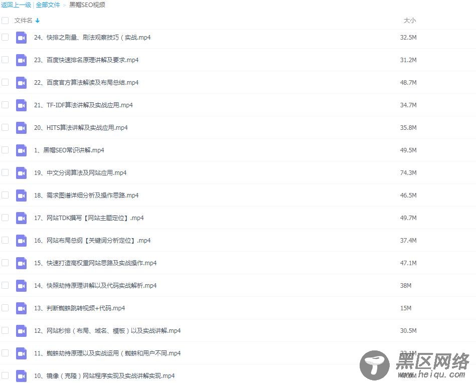 黑帽SEO蜘蛛快速排名技术「实用教程」