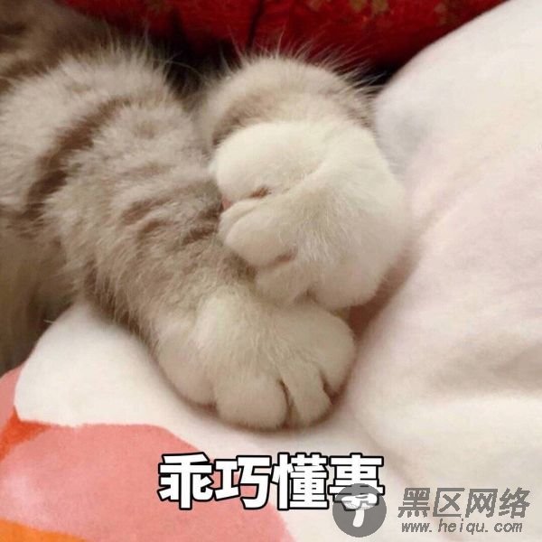 实用的热门表情包图集「素材图片」