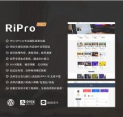 WP+RiPro主题破解版「网站源码」