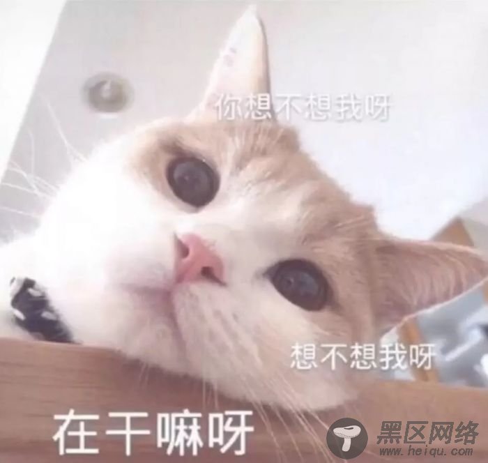 可爱萌表情包动图gif「素材图片」