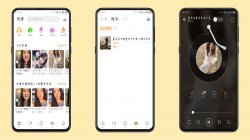 耳萌ASMR最新PJ版 一款为你耳朵提供各种音频的软