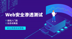 Web安全基础入门+信息收集篇「实用教程」