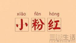“小粉红”是非多 如何理性爱国需思考