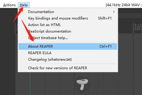 Cockos REAPER 6软件下载 v6.20(附破解补丁)
