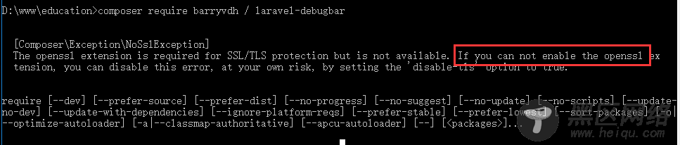 Laravel的下载以及使用composer来安装debugbar扩展包图