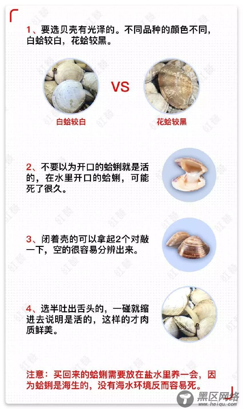 “破坏者”}“II ”}“本游戏”}“改编自”}“经典物”}“理引擎”}“类游戏”}““To”}“tem”}“ ”}免费
