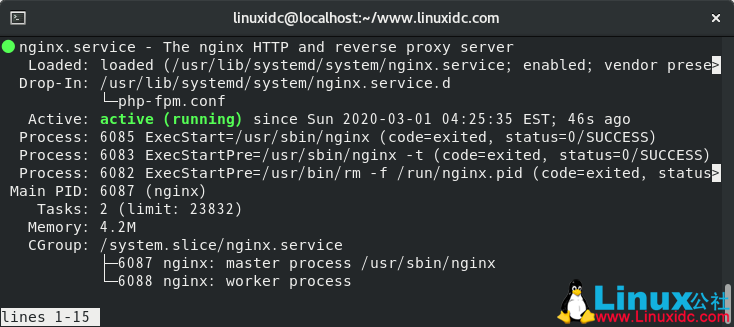 验证Nginx服务状态