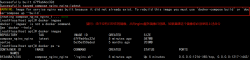 利用Docker Compose编排容器