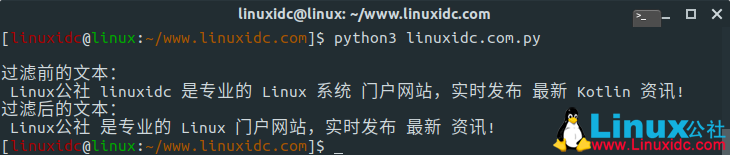 如安在Python中过滤字符串列表