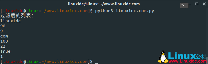 如安在Python中过滤字符串列表