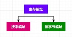 程序员心中的一道坎：主存的编址与计算和串并