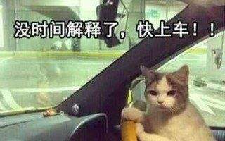 国庆期间，我造了台计算机 