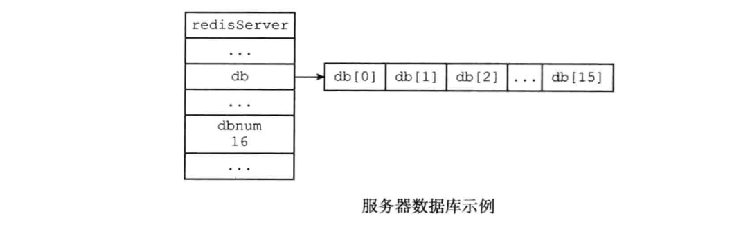 数据库