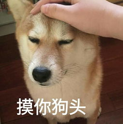 天啦撸！打印日志竟然只晓得 Log4j？ 