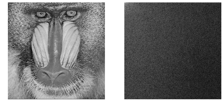 baboon_dct