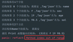 Go语言反射（reflect）及应用 