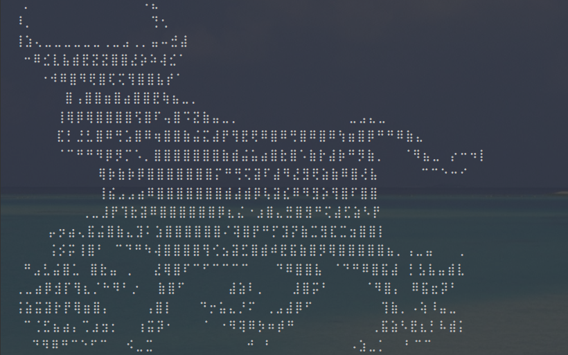 image-20210211210528858
