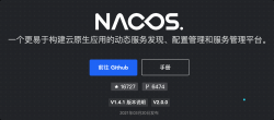 Nacos 2.0 正式发布，性能提升 10 倍！！ 