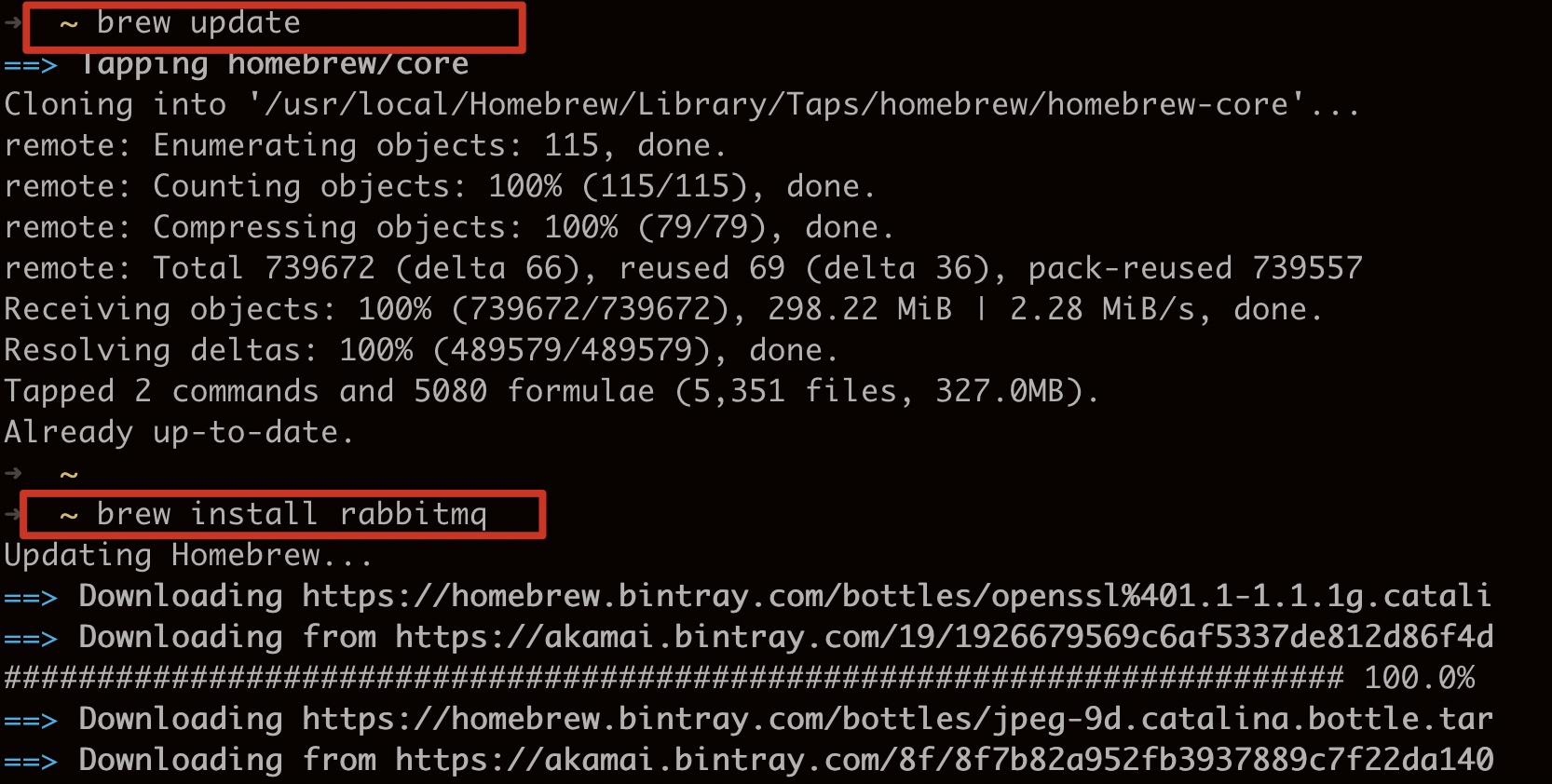rabbitmq-base-7.jpeg