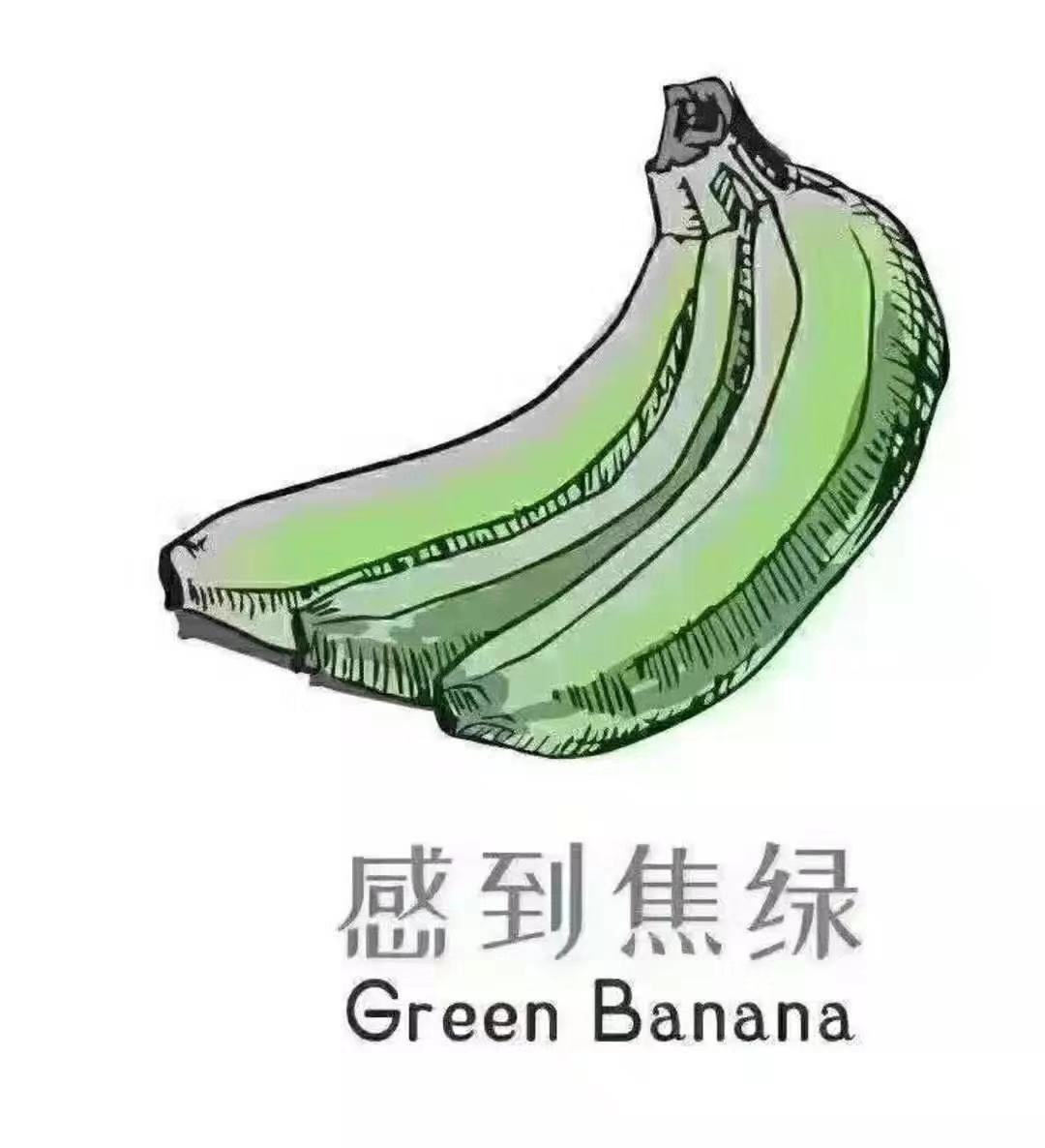 每天有一万人教我如何写文章 