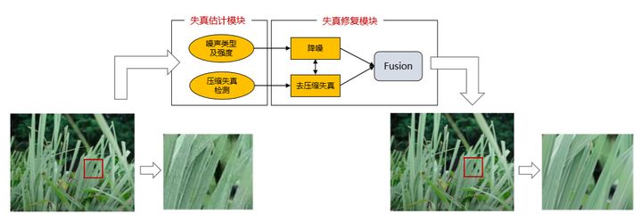 电影AI修复，让重温经典有了新的可能 