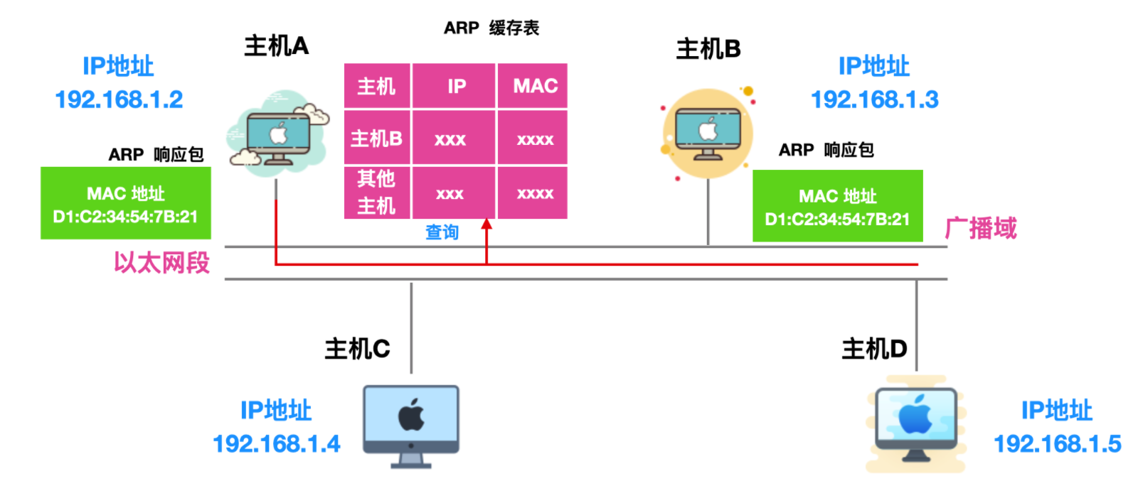 一文详解 ARP 协议 