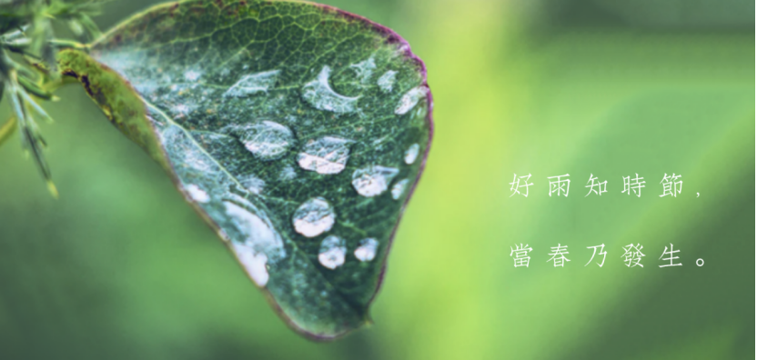 ApiPost V3创事记：一个痛并快乐着的创业故事