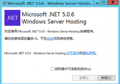 IIS部署.Net5全流程 