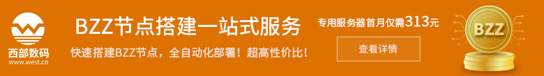 BZZ云节点