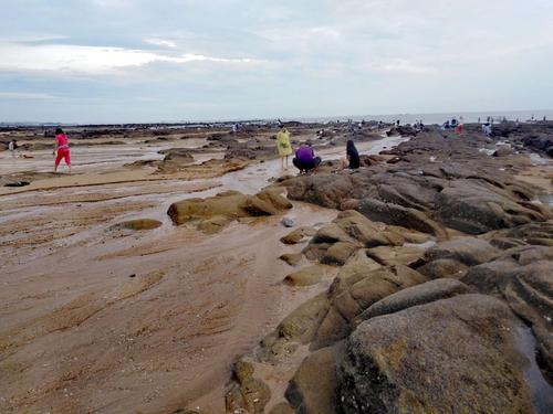 日照旅游赶海园教你怎么选，来日照看海吧