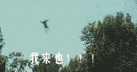 程序员不能说自己不行啊 