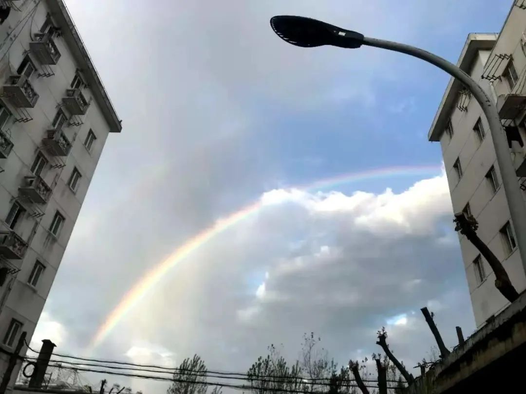 上海今晨出现美丽的双彩虹！你看到了吗？一大